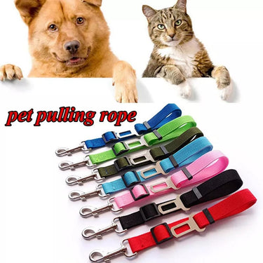 Correa Seguridad Car Pet